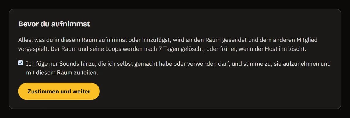 Vor der Aufnahme: was geteilt wird und wann es gelöscht wird, das angehakte Rechte-Kästchen und Zustimmen und weiter.