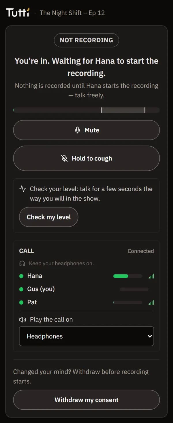 The waiting room: not recording, waiting for Hana to start, with the call and everyone's levels.