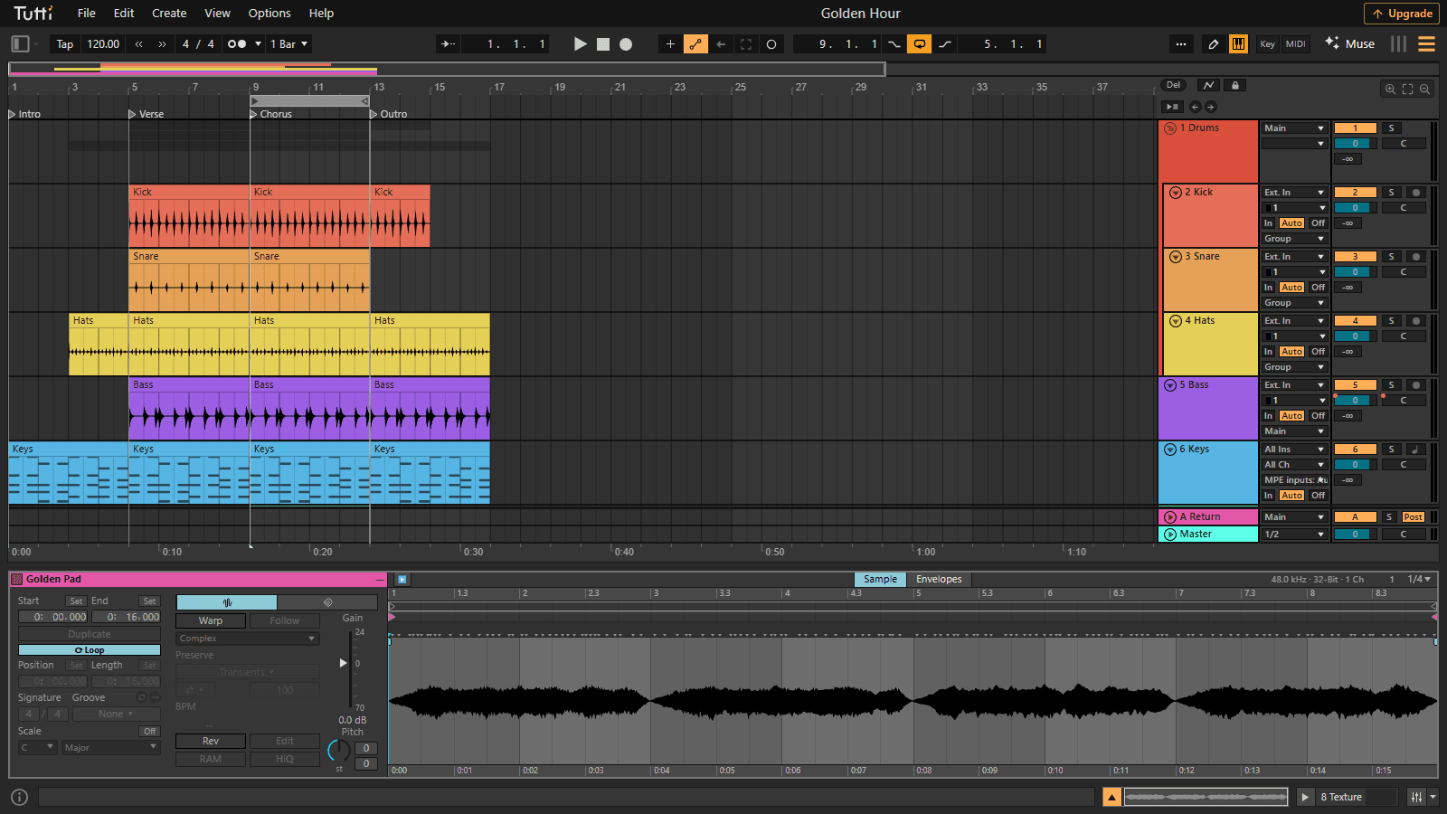 Warp audio in the sample editor — Zoom into the waveform, warp to the project tempo, transpose and loop audio clips non-destructively.